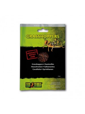 EXO TERRA Specialty Reptile Food, Grasshoppers, vakuumuoti svirpliai, 15 g